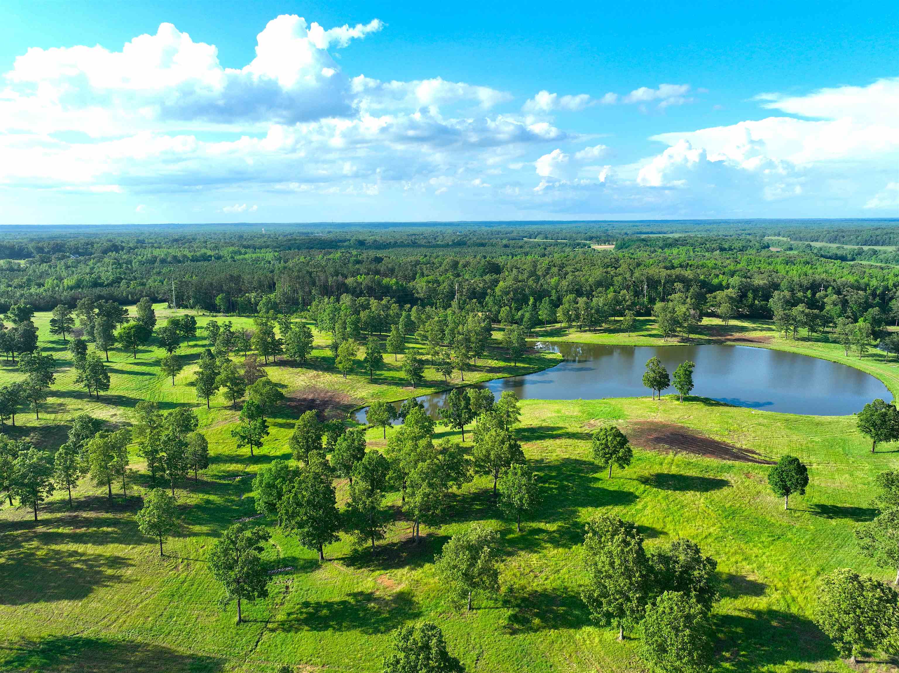 1865 Slayden Road Moscow, TN 38057 - Photo 26 of 30 Aerial view of a forest and a large body of water
