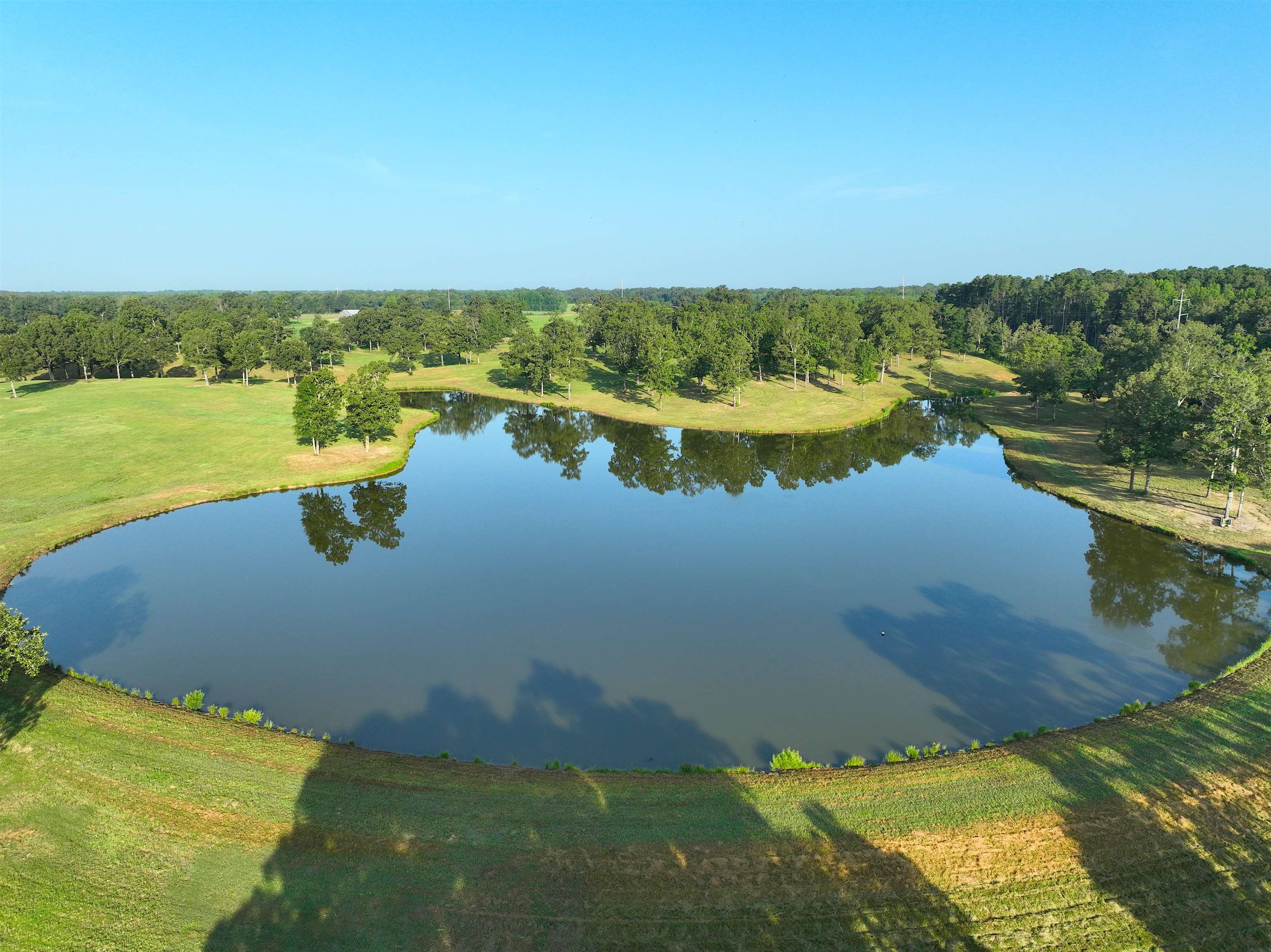 1865 Slayden Road Moscow, TN 38057 - Photo 3 of 30 Aerial view of a nearby body of water and a heavily wooded area