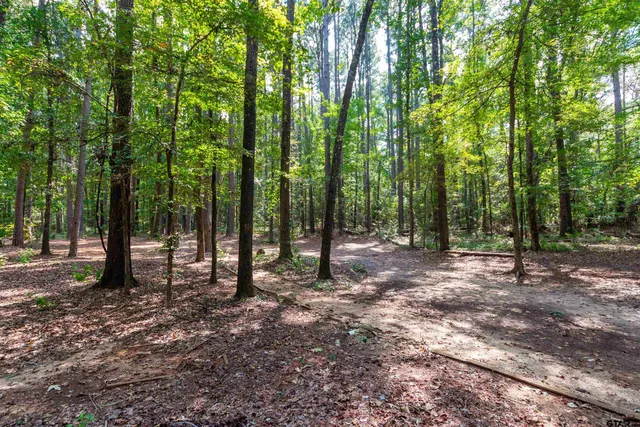 a view of outdoor space with lots of trees