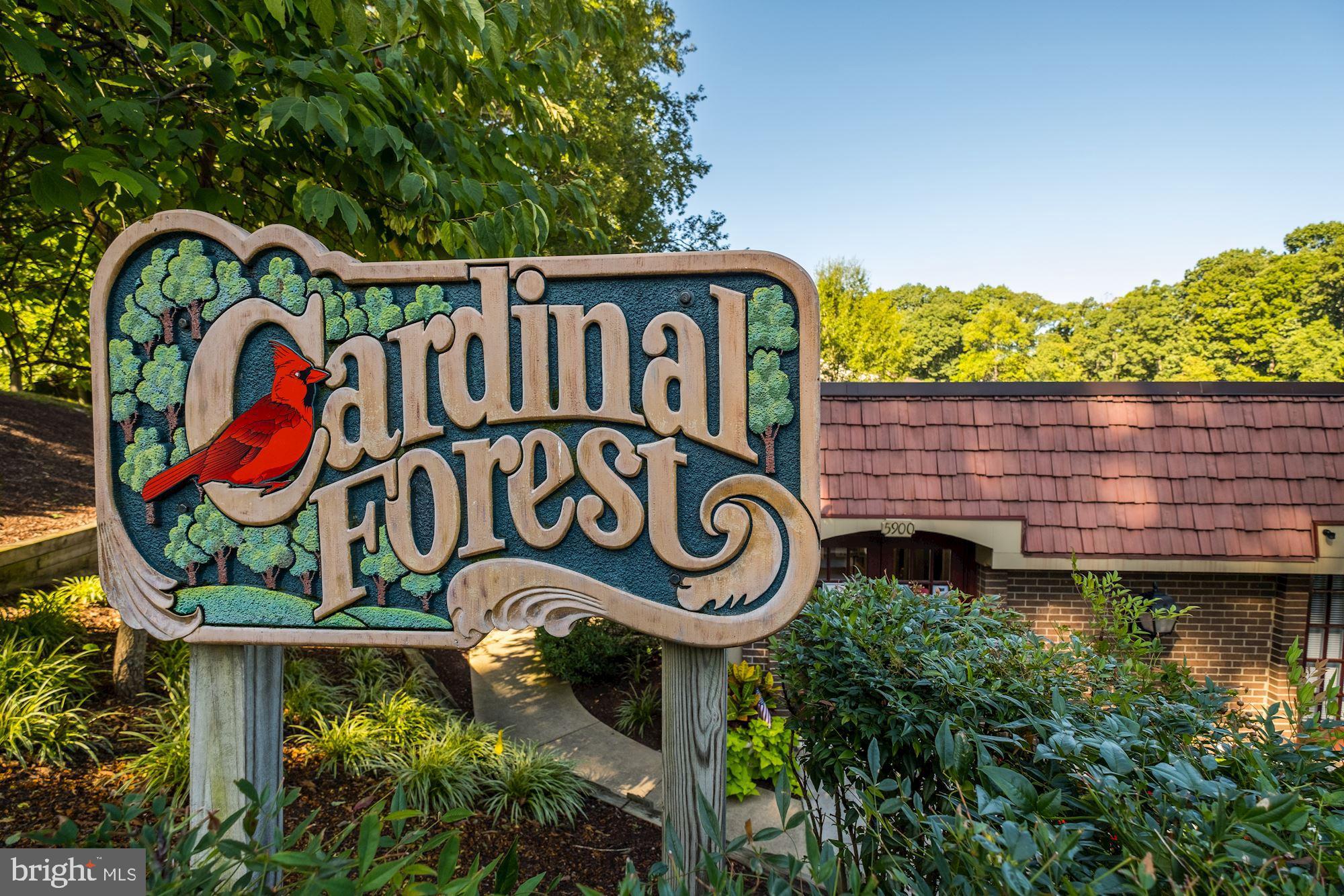 5902 Kingsford Road Springfield, VA 22152 - Photo 4 of 19 Welcome to Cardinal Forest