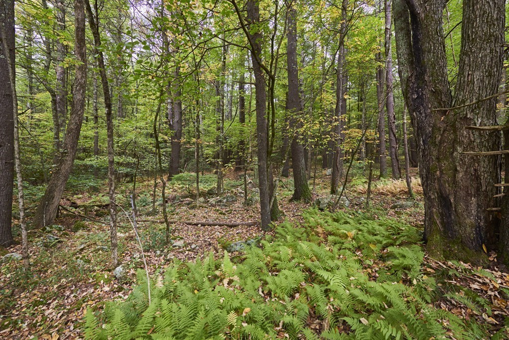 26 South Road Sturbridge, MA 01566 - Photo 11 of 25