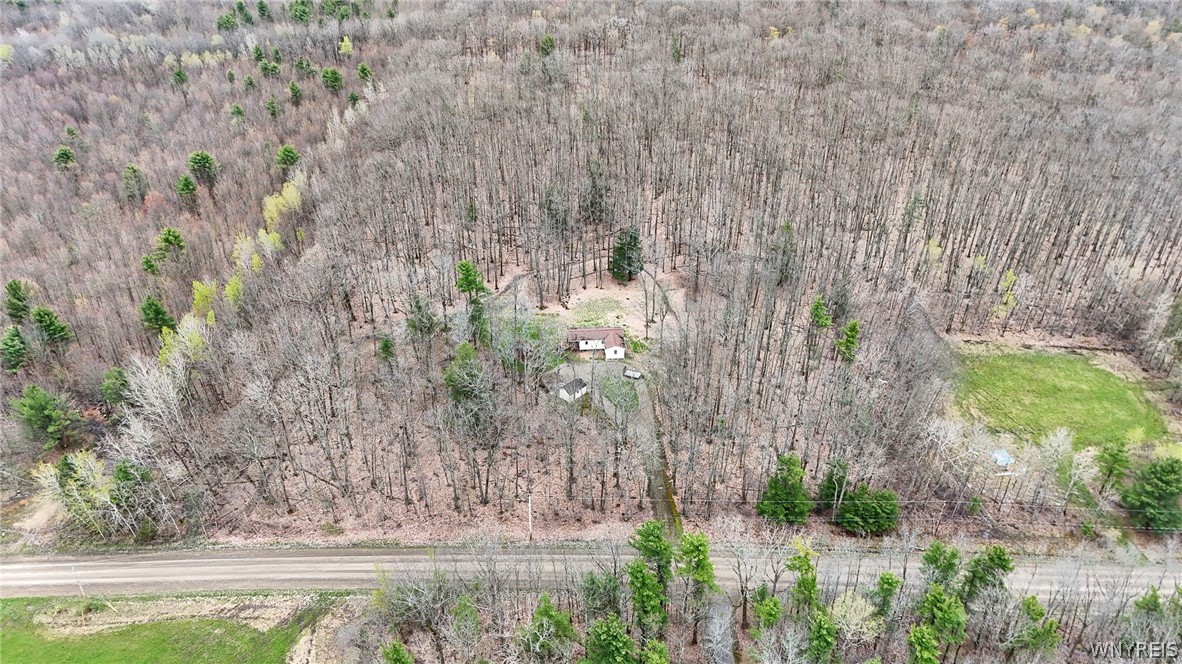 4603 Chapman Road Granger, NY 14846 - Photo 10 of 24