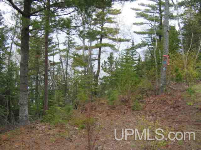 Five Mile Point Road Allouez, MI 49805 - Photo 10 of 18