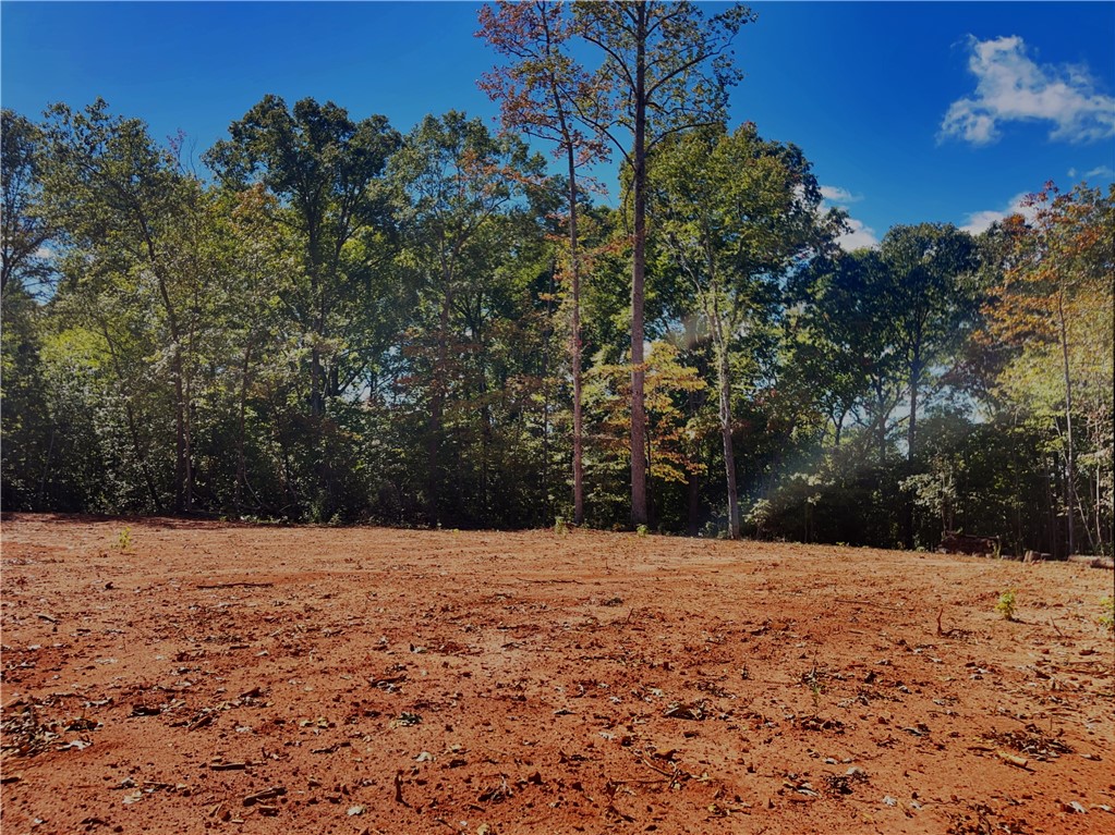 1940 Clearmont Road Westminster, SC 29693 - Photo 11 of 15 Gallery Image 11