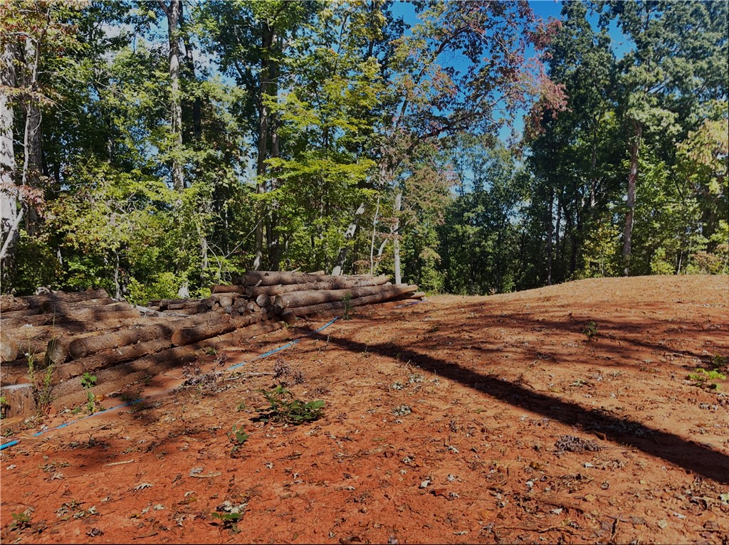 1940 Clearmont Road Westminster, SC 29693 - Photo 7 of 15 Gallery Image 7
