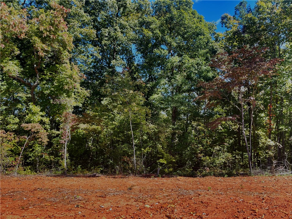 1940 Clearmont Road Westminster, SC 29693 - Photo 10 of 15 Gallery Image 10