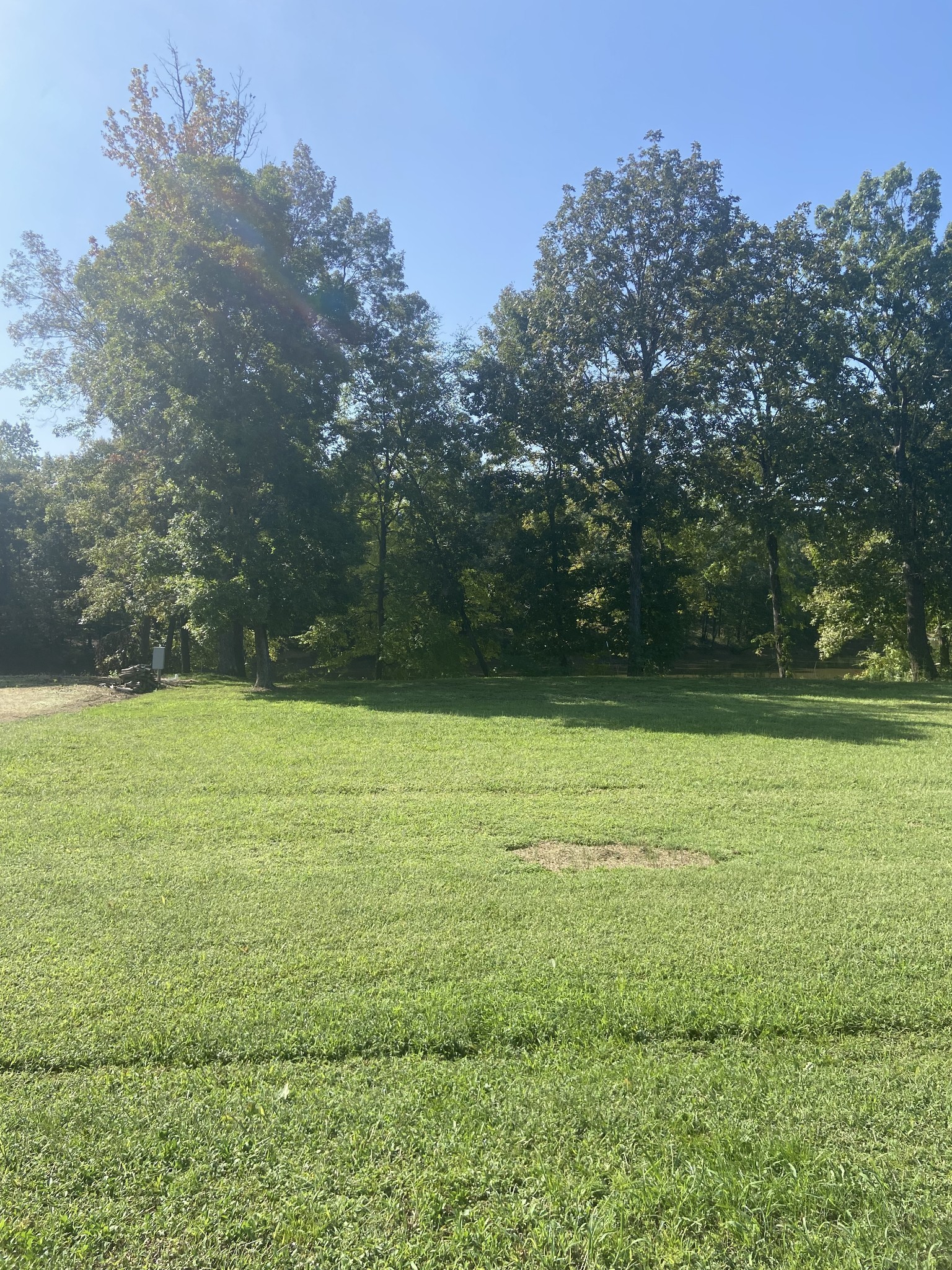 a view of a field with an trees