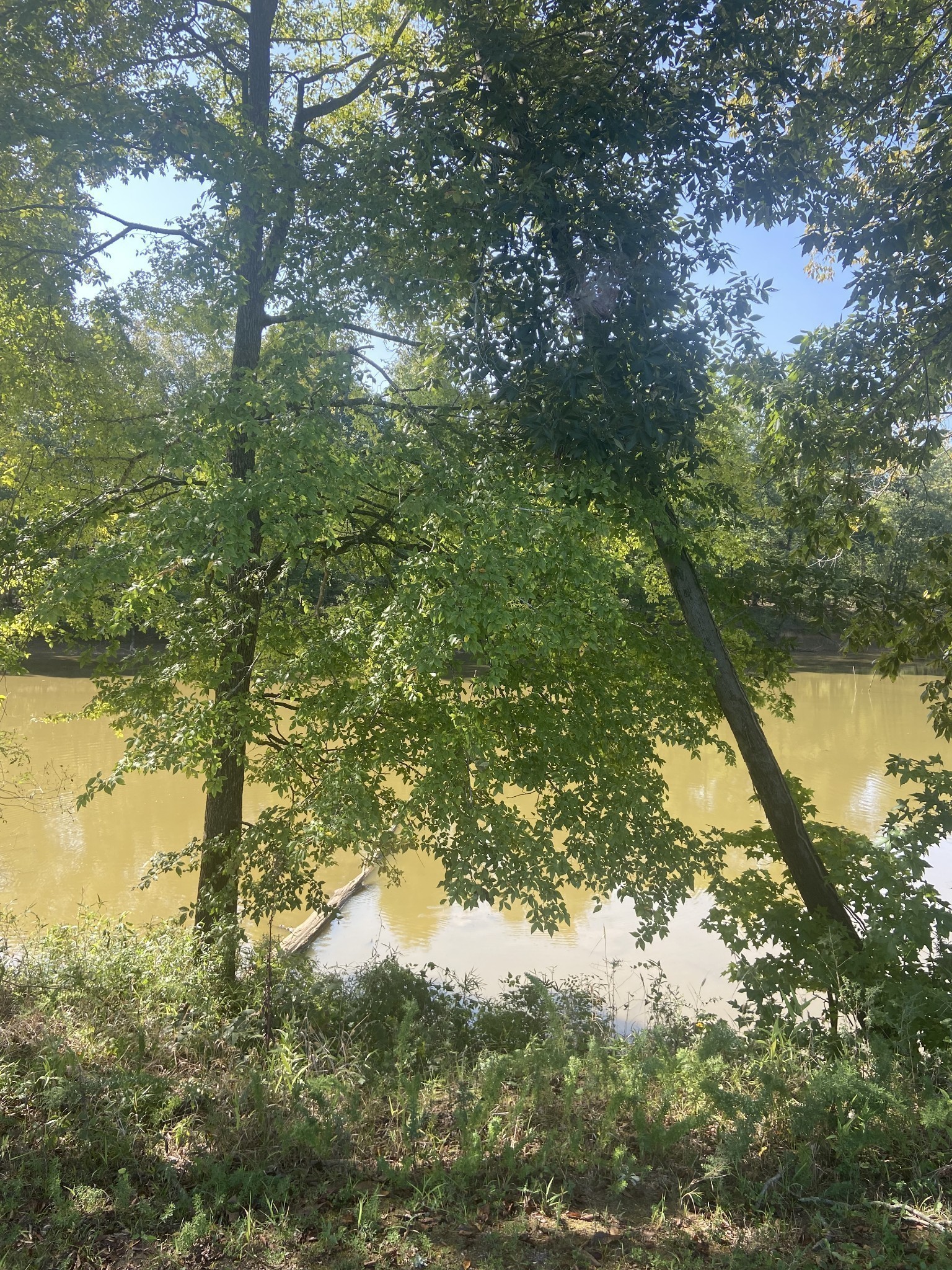 390 Duck Blind Road Clifton, TN 38425 - Photo 2 of 14 a view of lake
