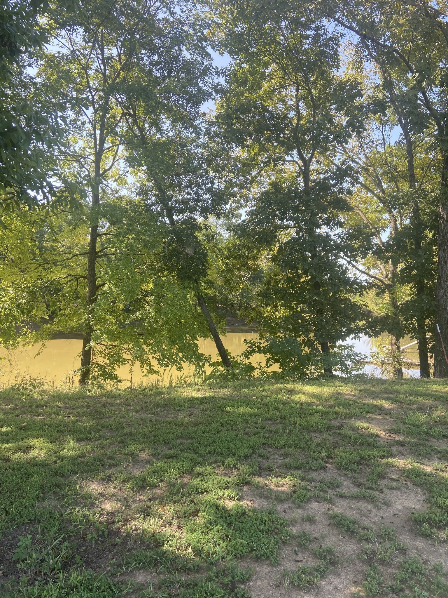 390 Duck Blind Road Clifton, TN 38425 - Photo 5 of 14 a view of a field with an trees