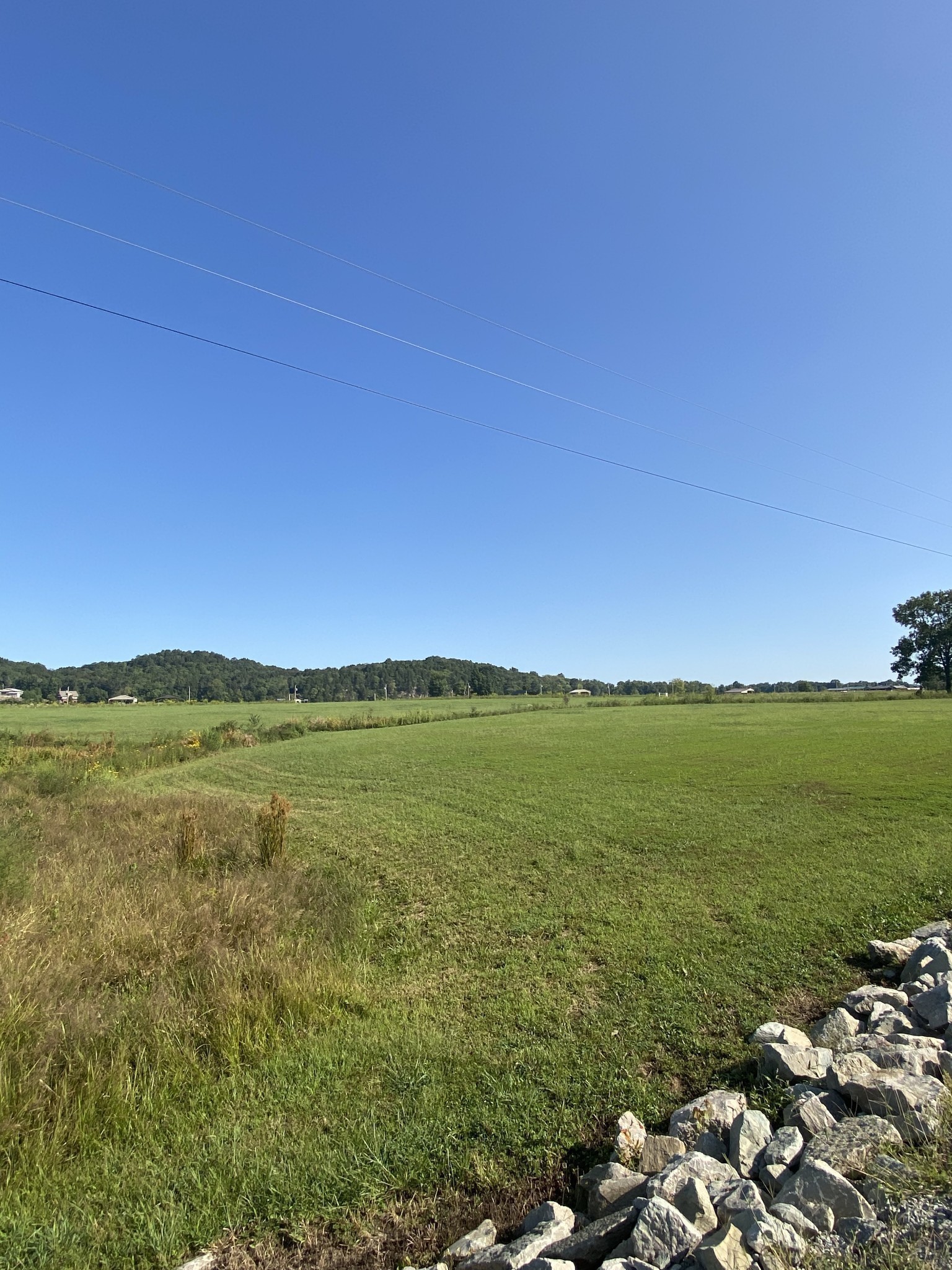 390 Duck Blind Road Clifton, TN 38425 - Photo 8 of 14 a view of an ocean and mountain