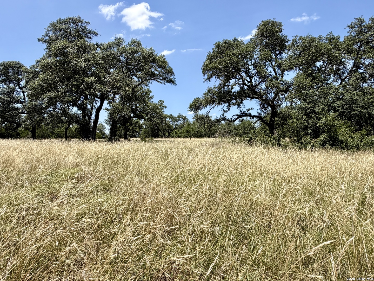 43-acres Sattler Road Spring Branch, TX 78070 - Photo 25 of 42 Gallery Image 25