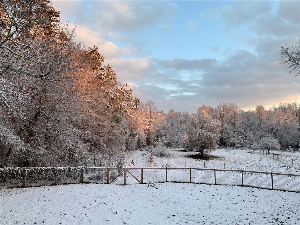 5727 Clarence Road Julian, NC 27283 - Photo 39 of 39 a winter view of the pasture