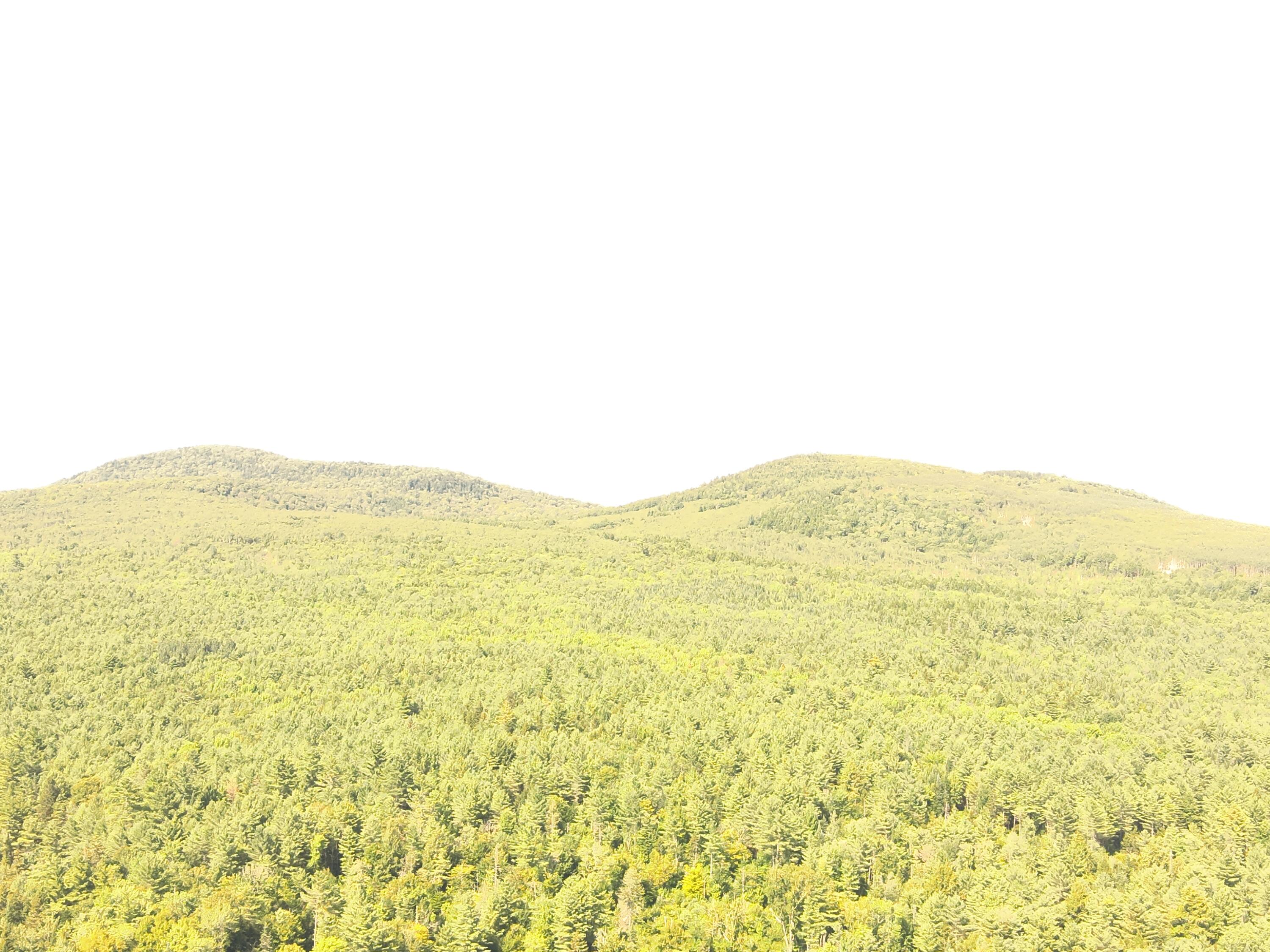 279 East Branch Road Howland, ME 04448 - Photo 9 of 27