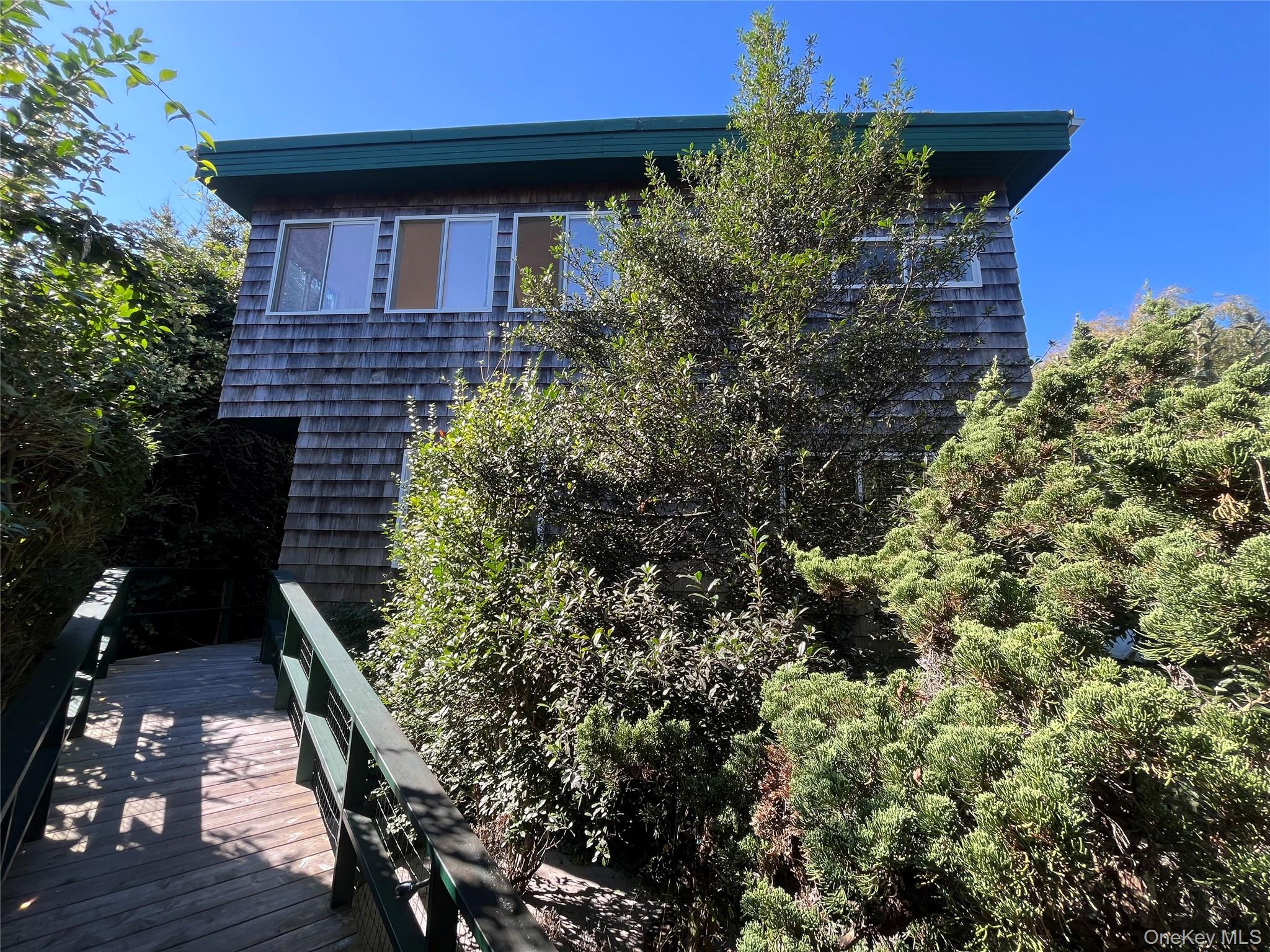 a view of a backyard