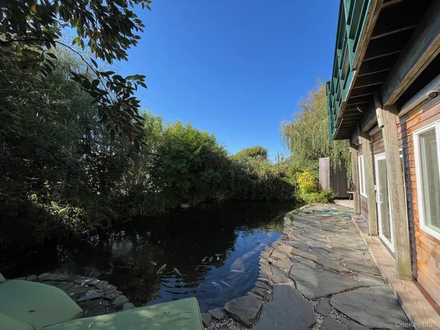 a view of a backyard with plants