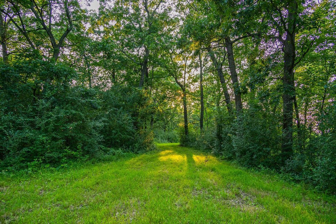 0 County Road South Blair, WI 54616 - Photo 21 of 32