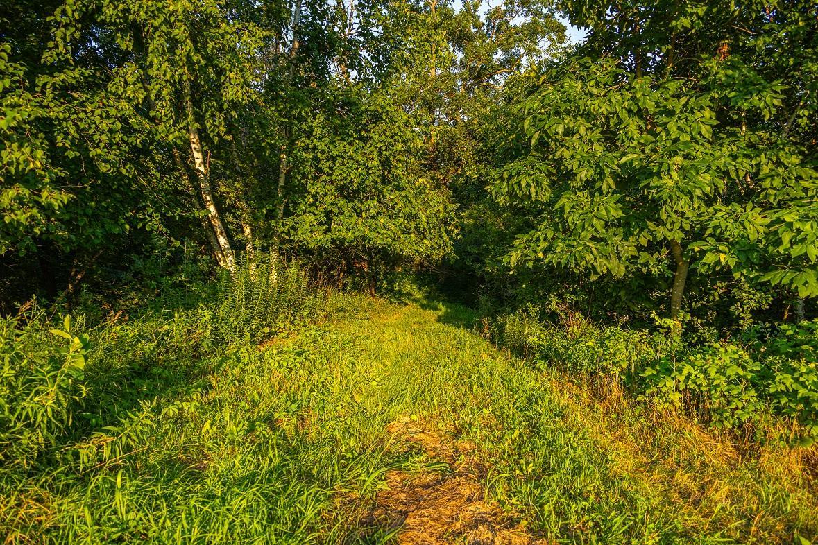 0 County Road South Blair, WI 54616 - Photo 7 of 32