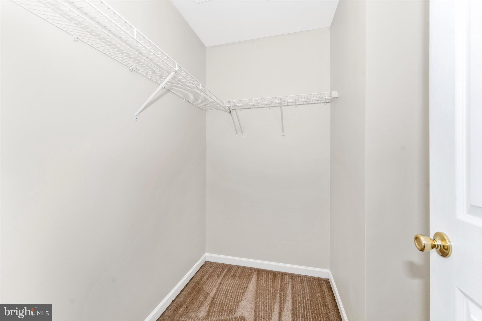 112 Raphael Court Martinsburg, WV 25403 - Photo 29 of 39 Walk in Closet