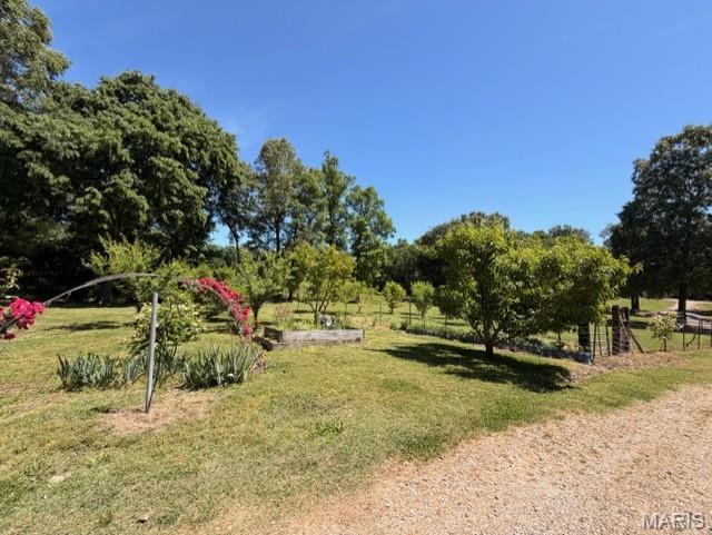 5539 Ripley Route East Doniphan, MO 63935 - Photo 22 of 28