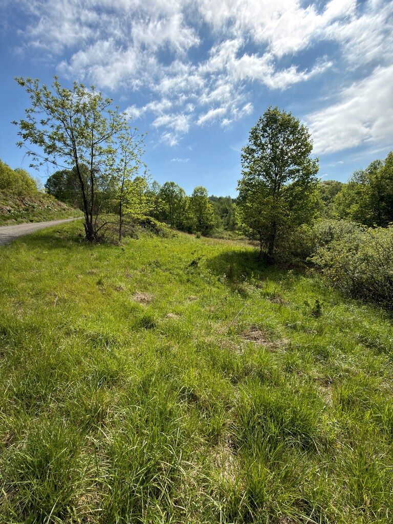 Tbd Wards Gap Road, Unit 16 58 Fancy Gap, VA 24328 - Photo 4 of 23 Gallery Image 4