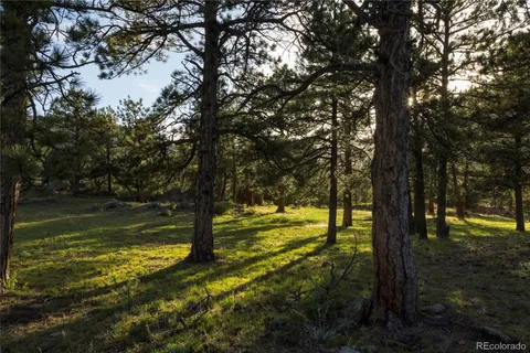 a view of a large body of water with a tree
