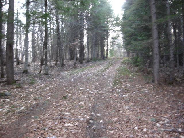 Lot 12 Loon Road Embden, ME 04958 - Photo 8 of 12 Shared driveway