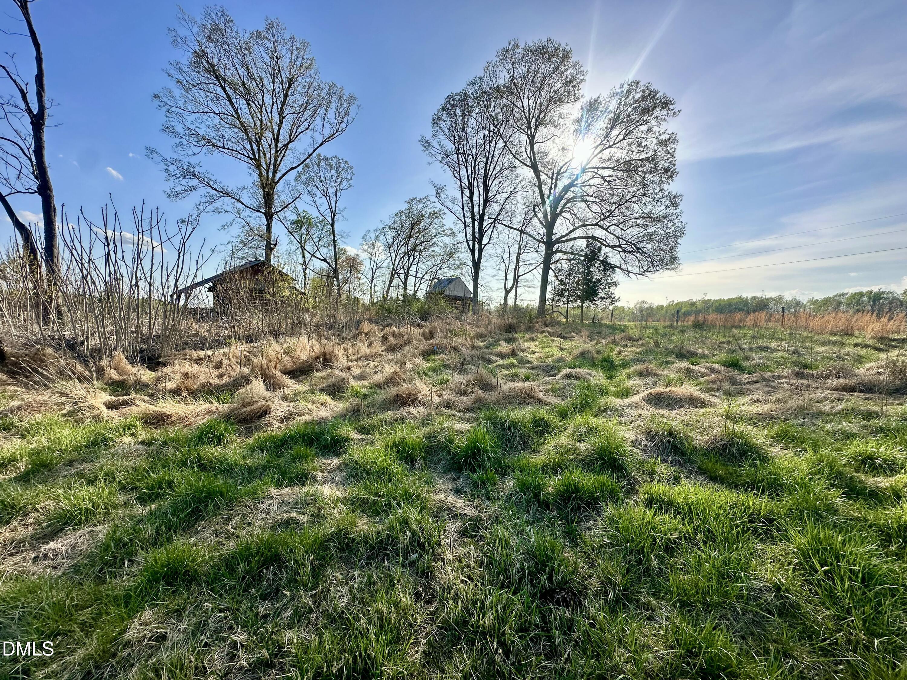 4.62-acres Jones Road Hurdle Mills, NC 27541 - Photo 3 of 10 IMG_5693