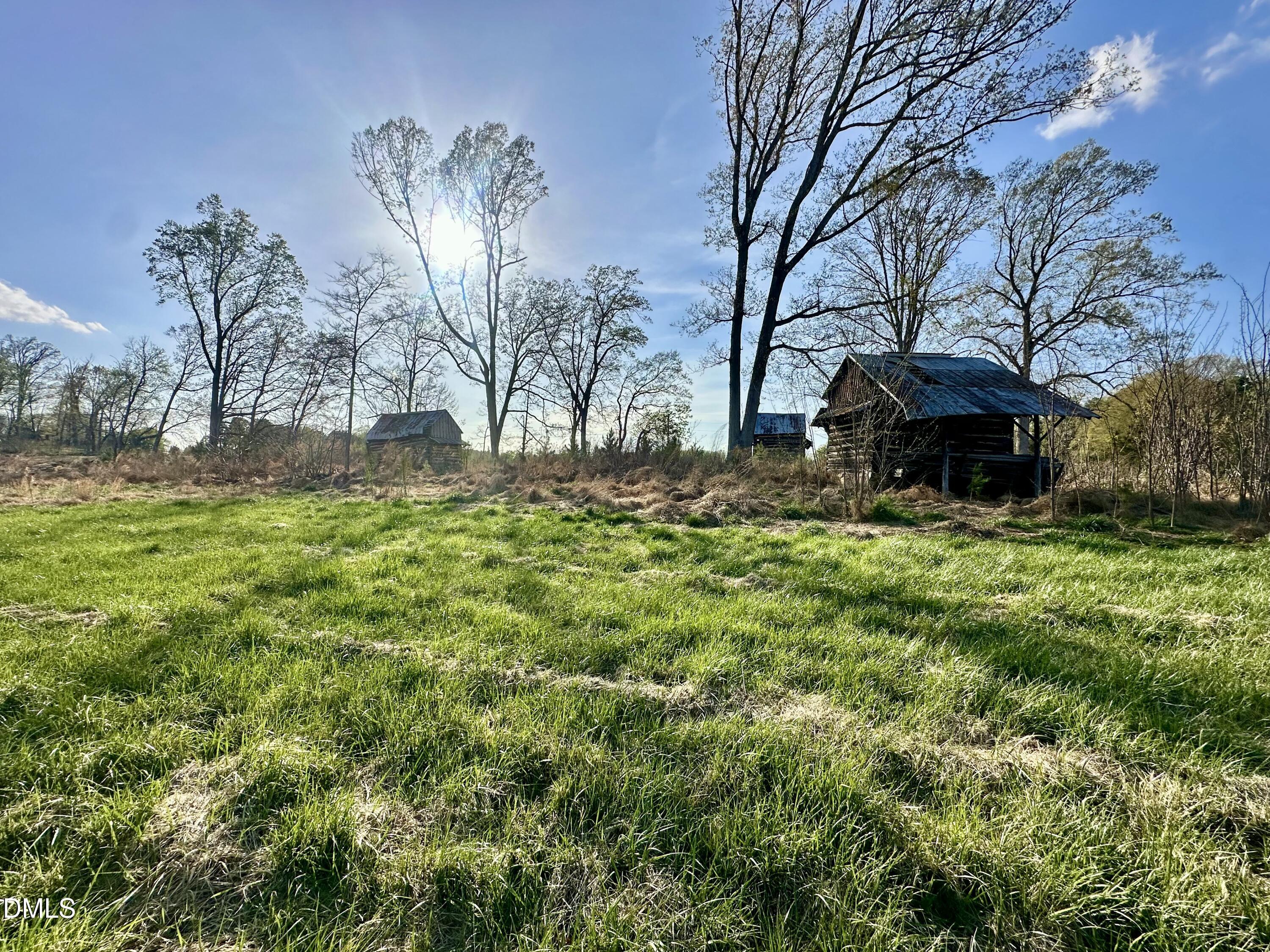 4.62-acres Jones Road Hurdle Mills, NC 27541 - Photo 5 of 10 IMG_5696
