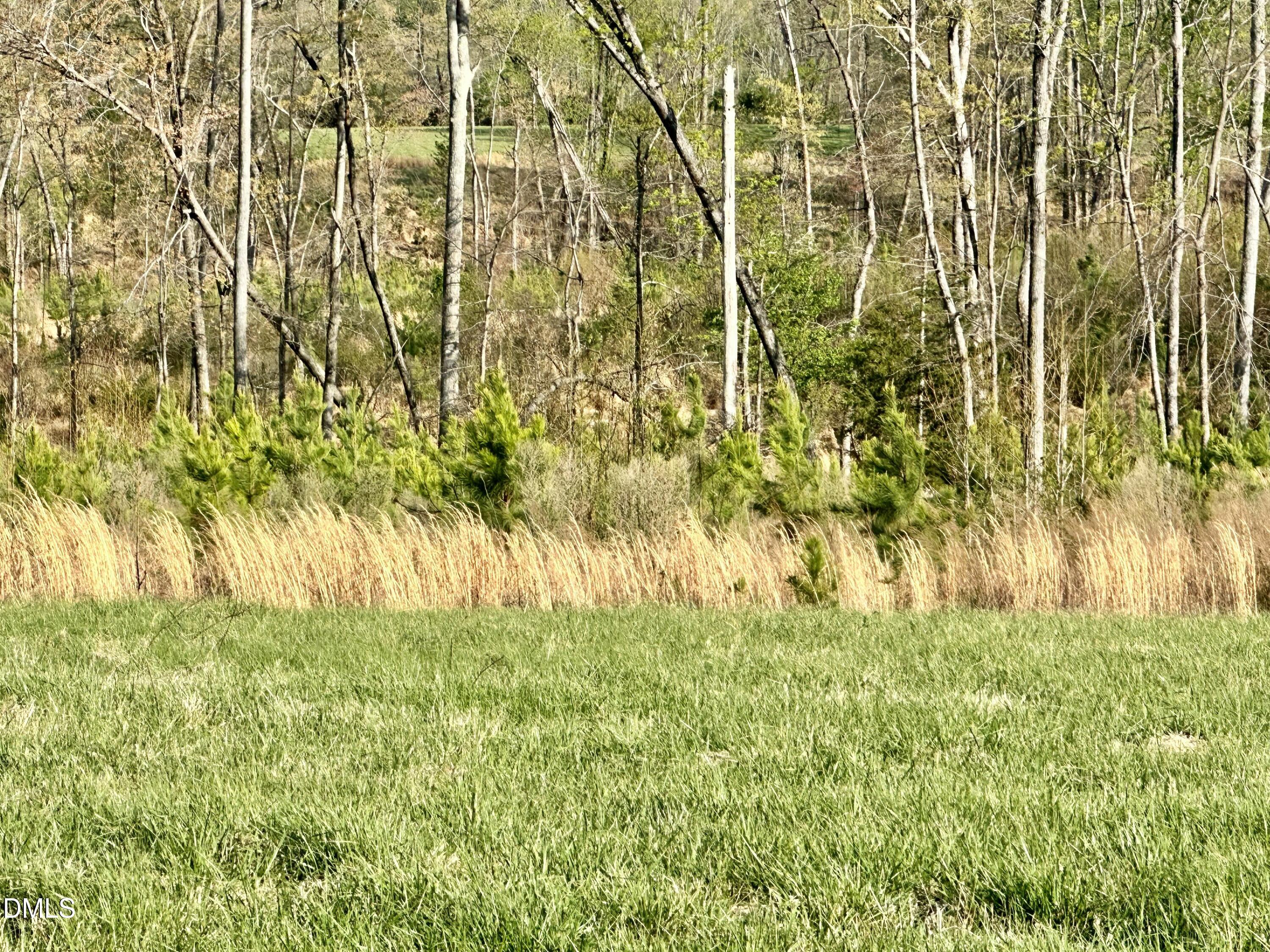4.62-acres Jones Road Hurdle Mills, NC 27541 - Photo 8 of 10 IMG_5700