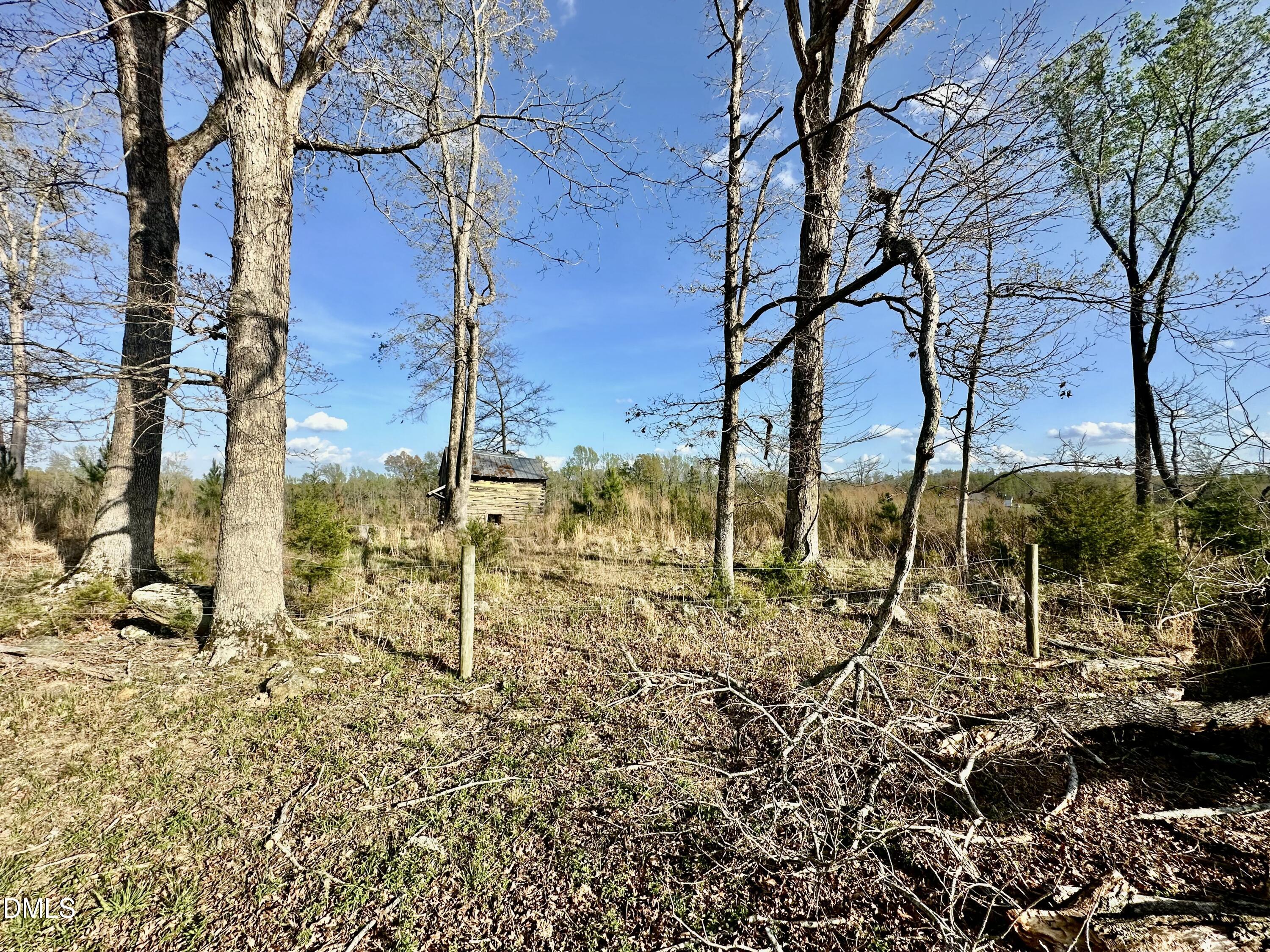 4.62-acres Jones Road Hurdle Mills, NC 27541 - Photo 9 of 10 IMG_5701