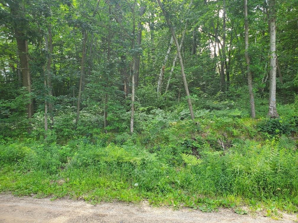 Tbd North Coldwater Road Weidman, MI 48893 - Photo 4 of 14
