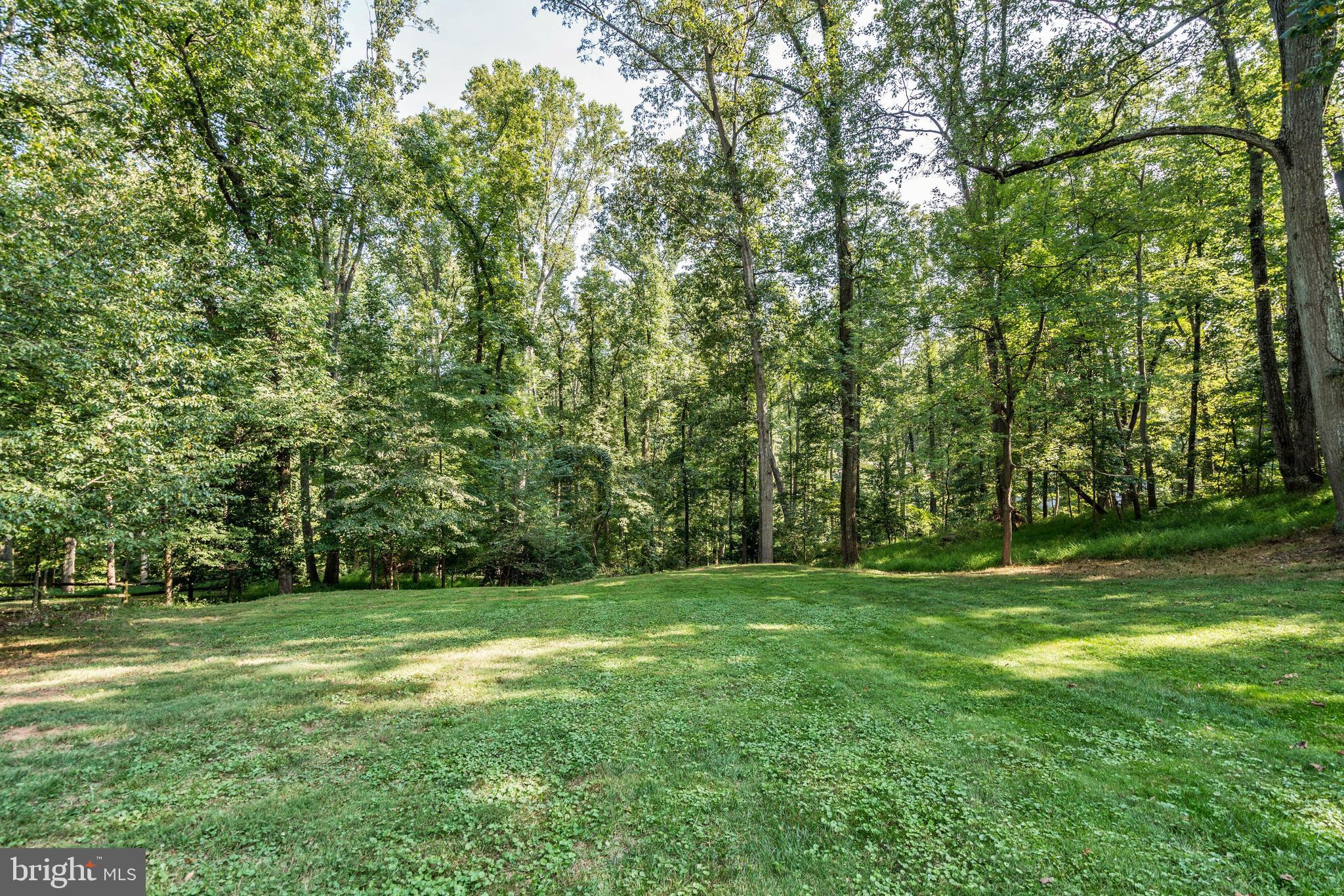 8643 Overlook Road McLean, VA 22102 - Photo 44 of 45 Back Yard