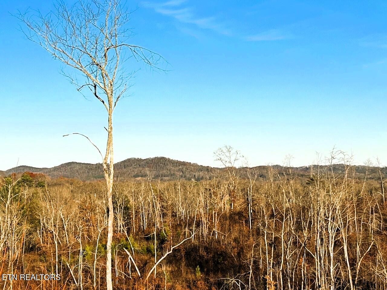 1667 Euchee Road Ten Mile, TN 37880 - Photo 18 of 25