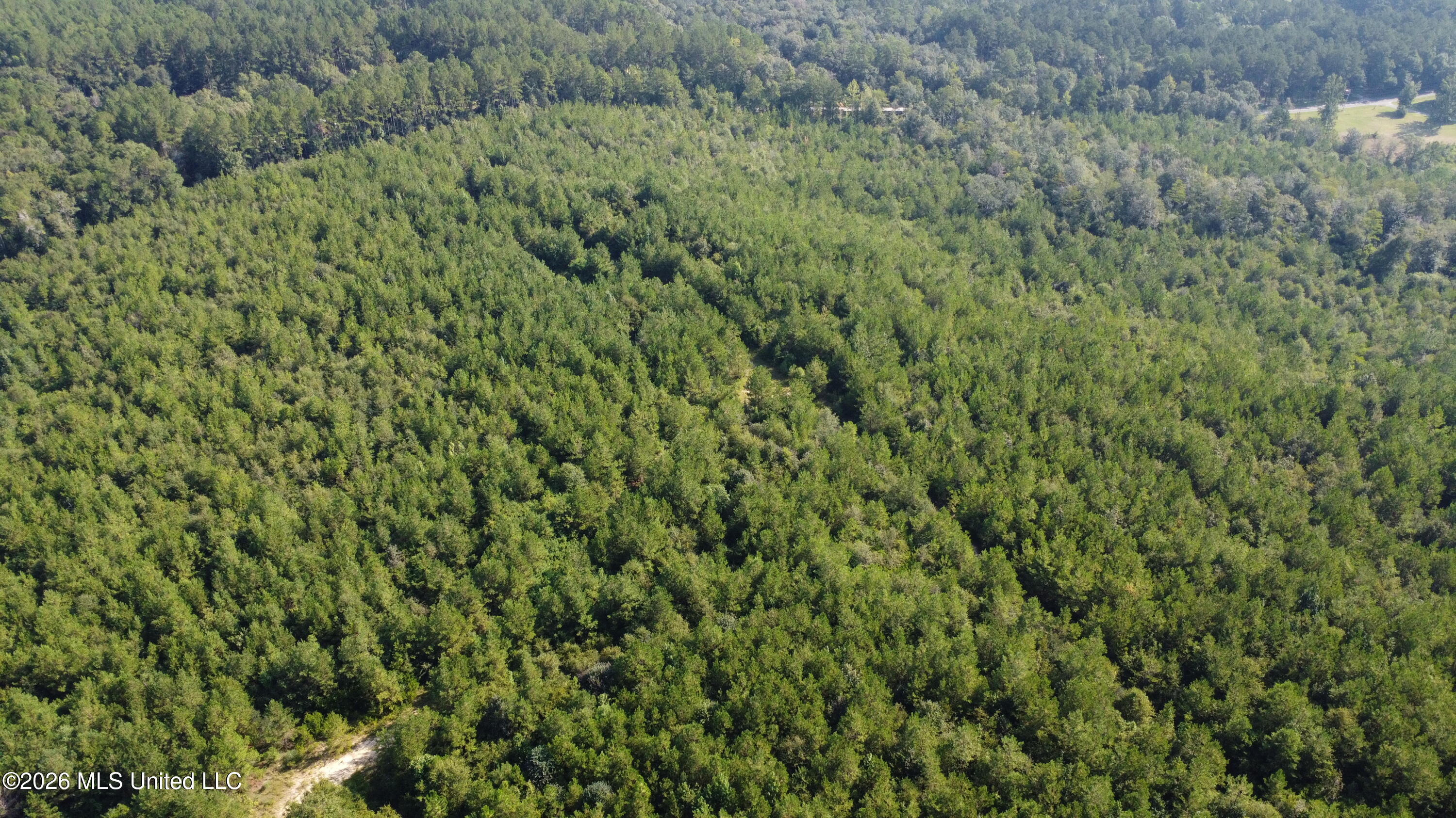 156.3 Acres Beesley Road Lucedale, MS 39452 - Photo 29 of 30 DJI_0489