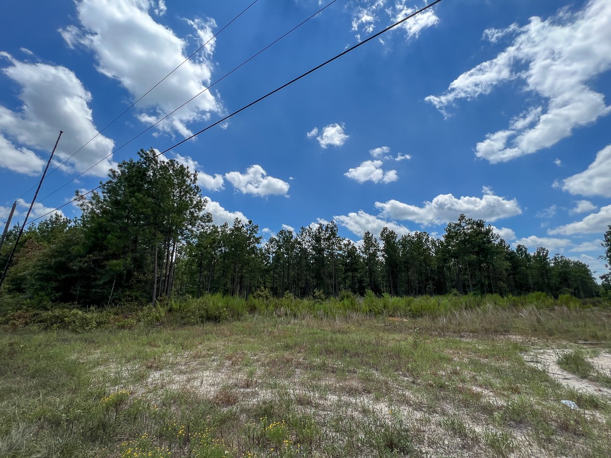 2 County Road 1420 Warren, TX 77664 - Photo 2 of 15 a view of a golf course with a lake