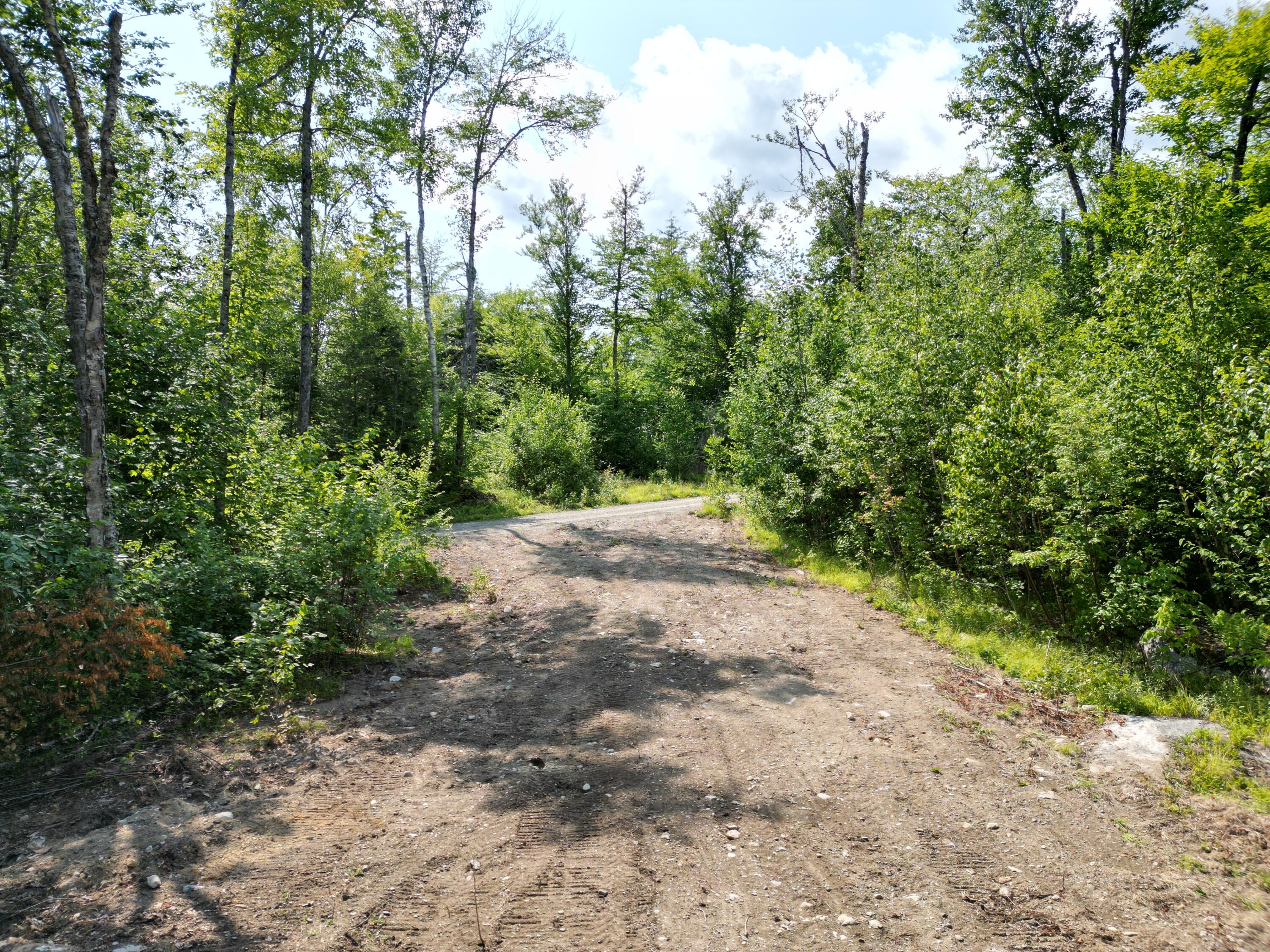 Lot 18-2 Madagascal Pond Road Burlington, ME 04417 - Photo 4 of 12 dji_fly_20260709_172450_951_178481322694