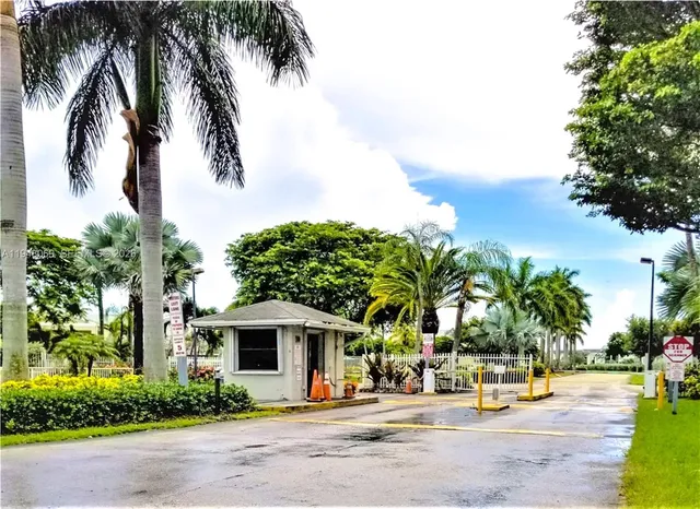 a palm tree sitting in front of a house with a yard