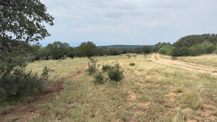 159 Mormon Creek Road Doss, TX 78618 - Photo 6 of 29