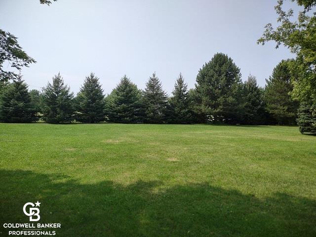 12014 Speaker Road Yale, MI 48097 - Photo 35 of 38 West Lawn
