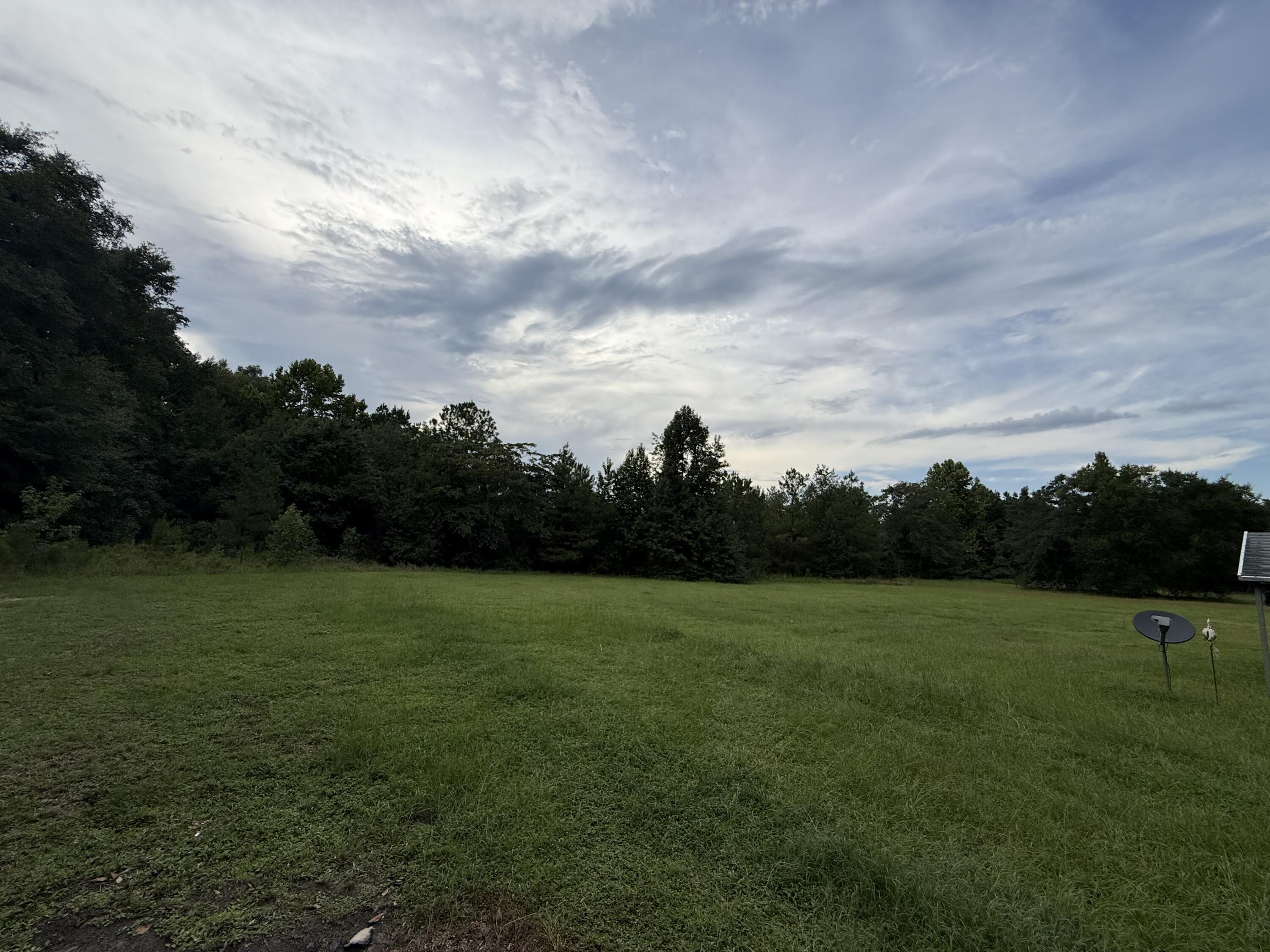 4983 Mt Carmel Road Walterboro, SC 29488 - Photo 12 of 35 IMG_4888