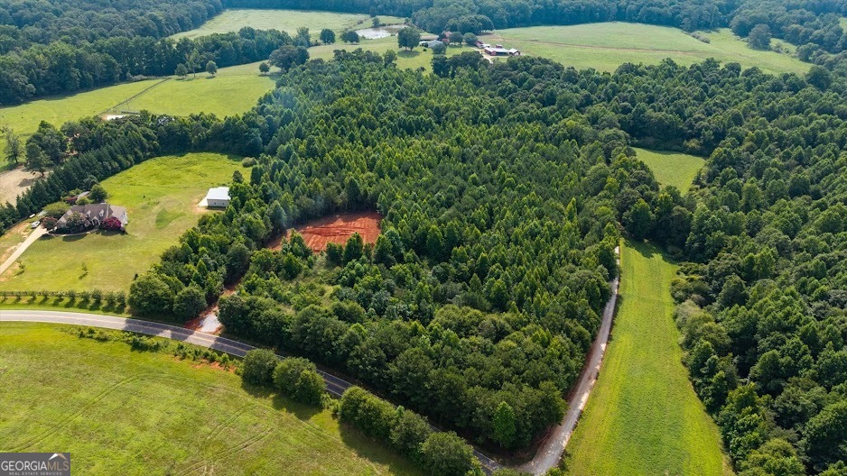 0 Shirey Dairy Road Carrollton, GA 30117 - Photo 9 of 19