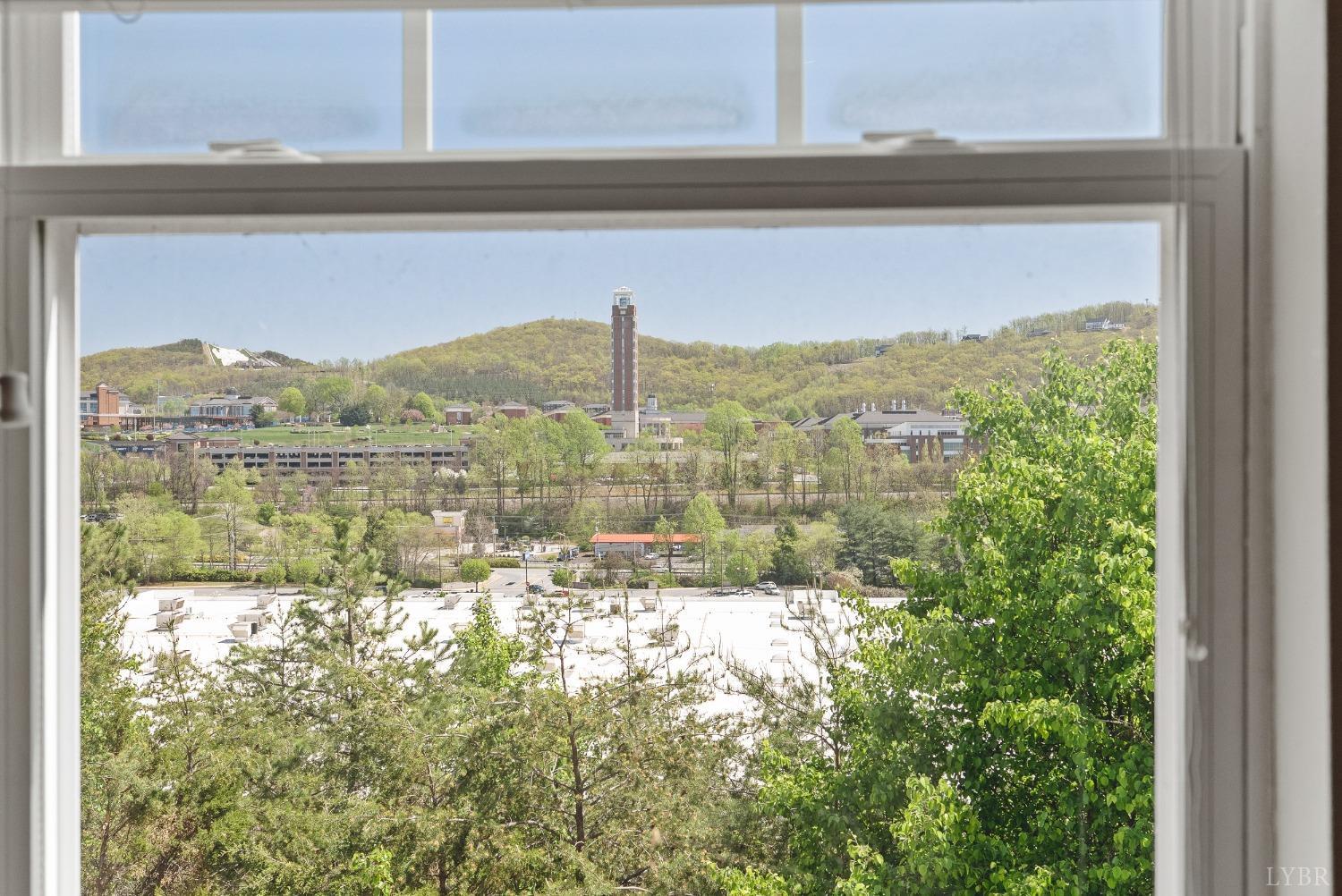 1600 Wards Ferry Road, Unit 806 Lynchburg, VA 24502 - Photo 19 of 53