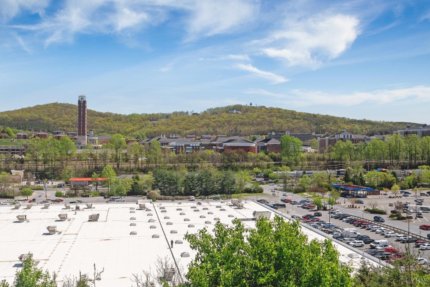 1600 Wards Ferry Road, Unit 806 Lynchburg, VA 24502 - Photo 35 of 53