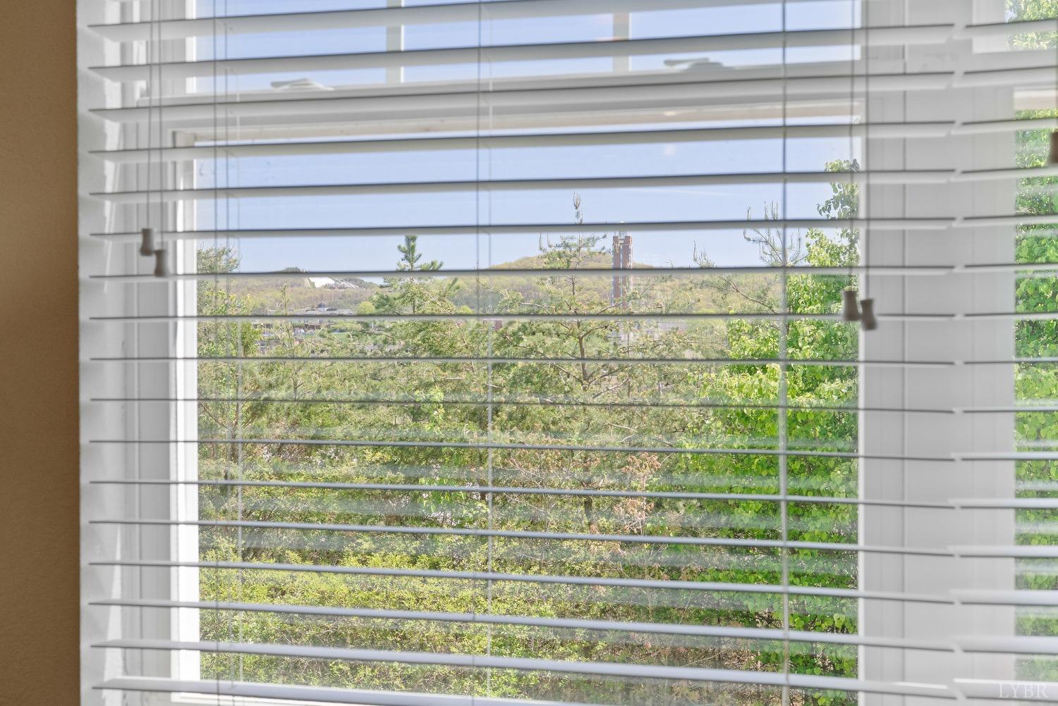 1600 Wards Ferry Road, Unit 806 Lynchburg, VA 24502 - Photo 5 of 53