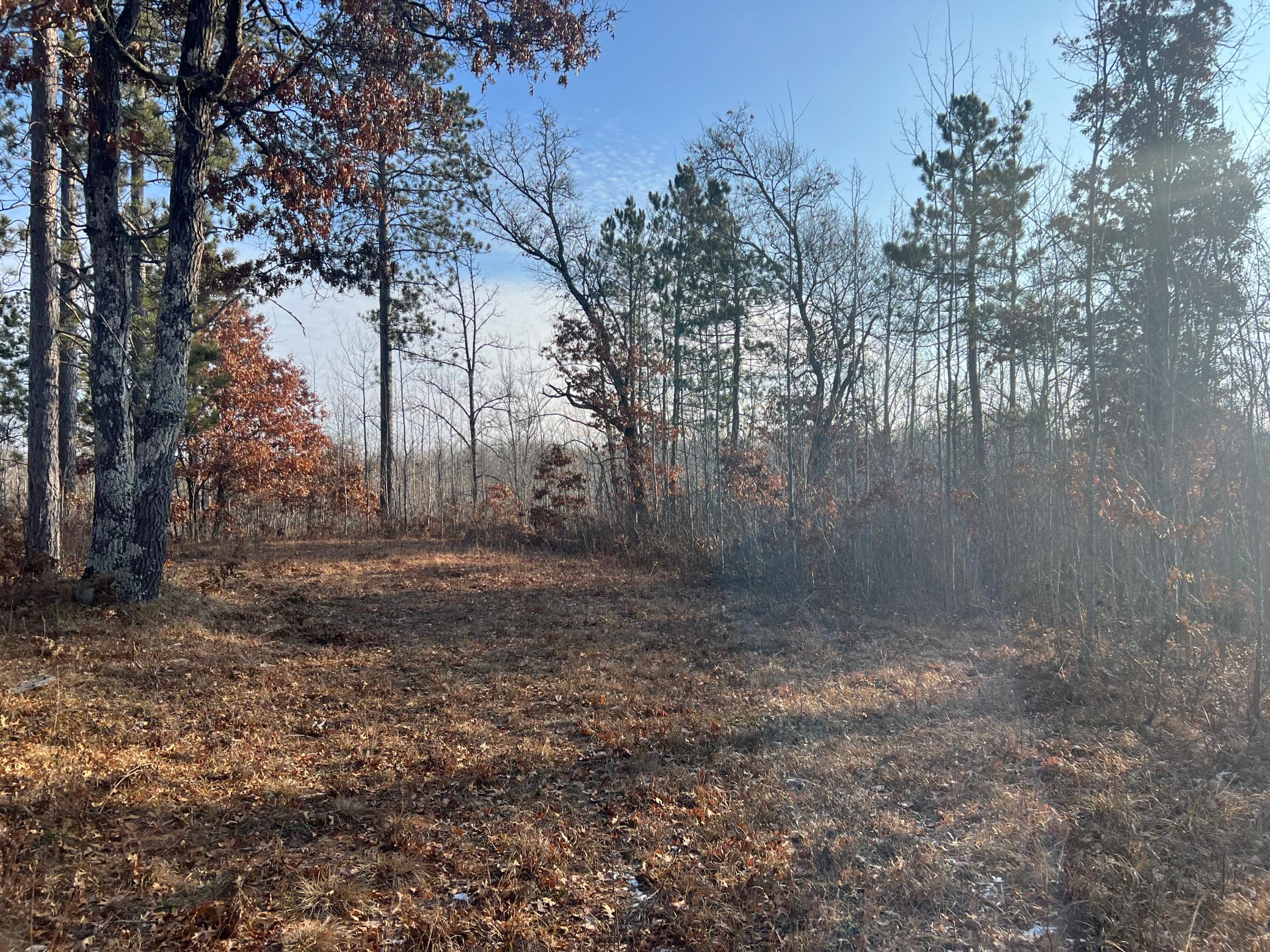 Lot 1 Brancel Road Minong, WI 54859 - Photo 1 of 12 Gallery Image 1