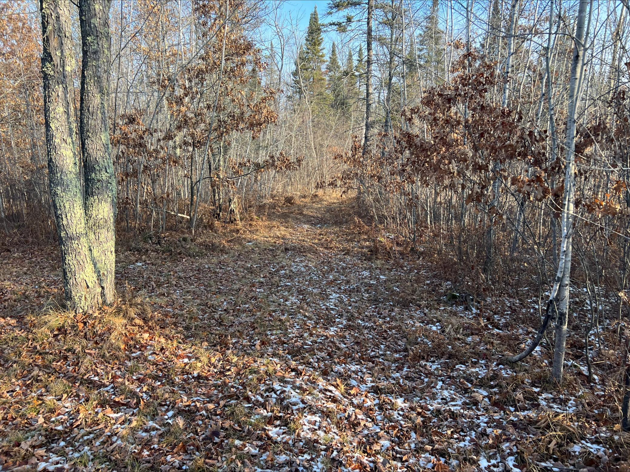 Lot 1 Brancel Road Minong, WI 54859 - Photo 11 of 12 Gallery Image 11