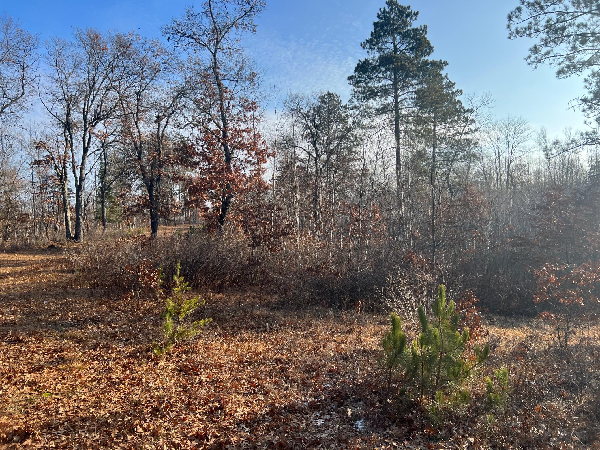 Lot 1 Brancel Road Minong, WI 54859 - Photo 2 of 12 Gallery Image 2