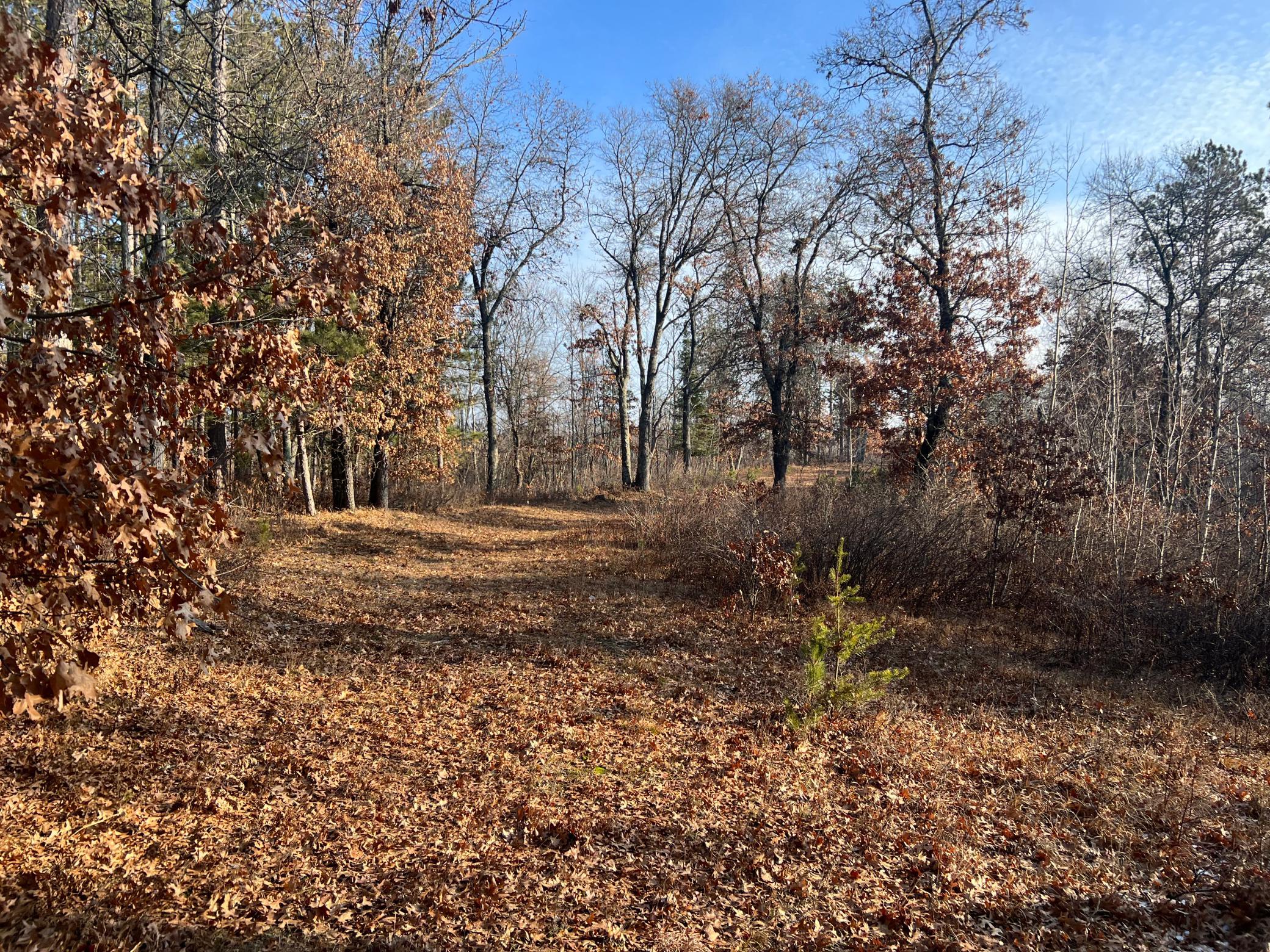 Lot 1 Brancel Road Minong, WI 54859 - Photo 3 of 12 Gallery Image 3