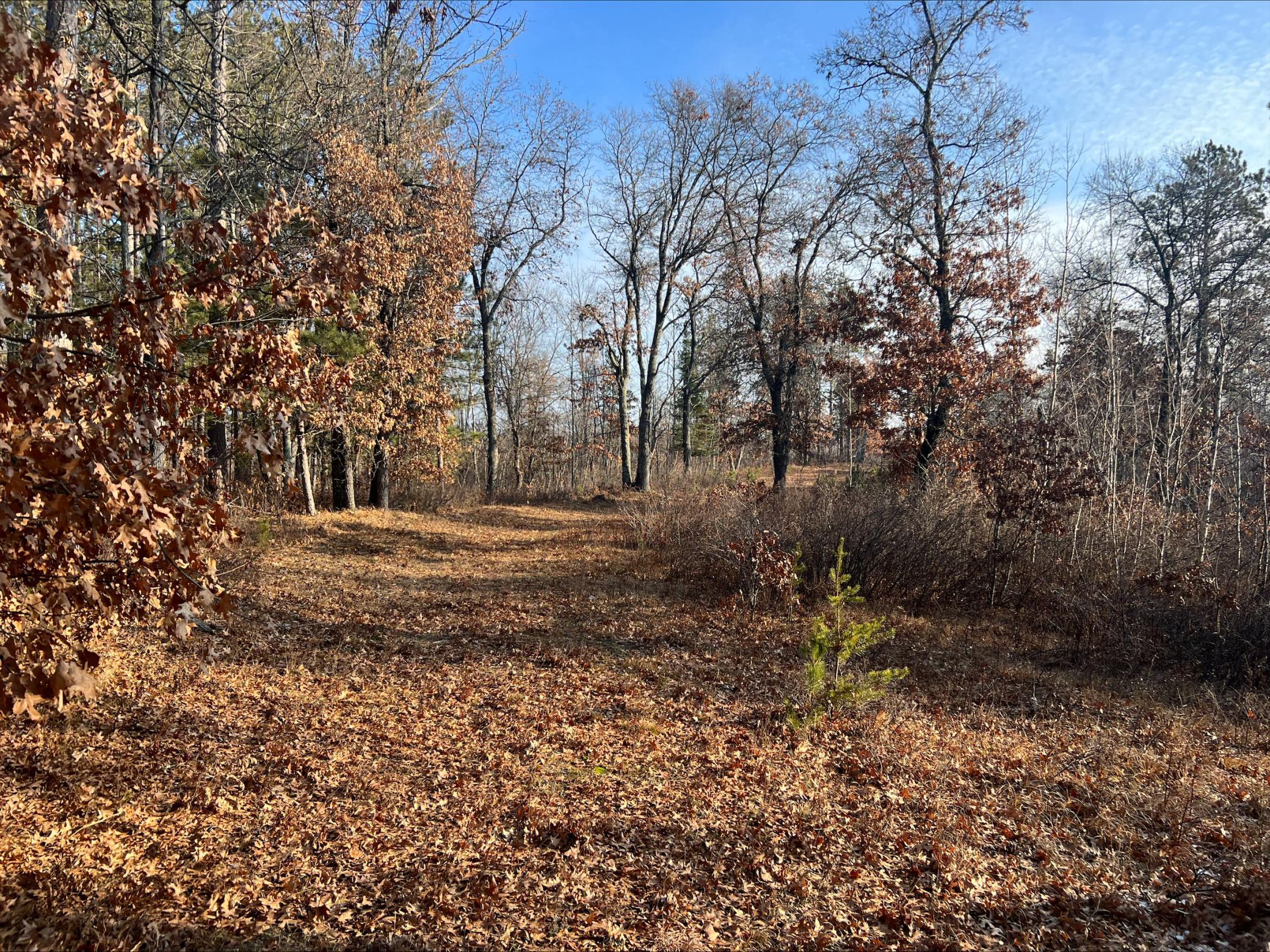 Lot 1 Brancel Road Minong, WI 54859 - Photo 9 of 12 Gallery Image 9