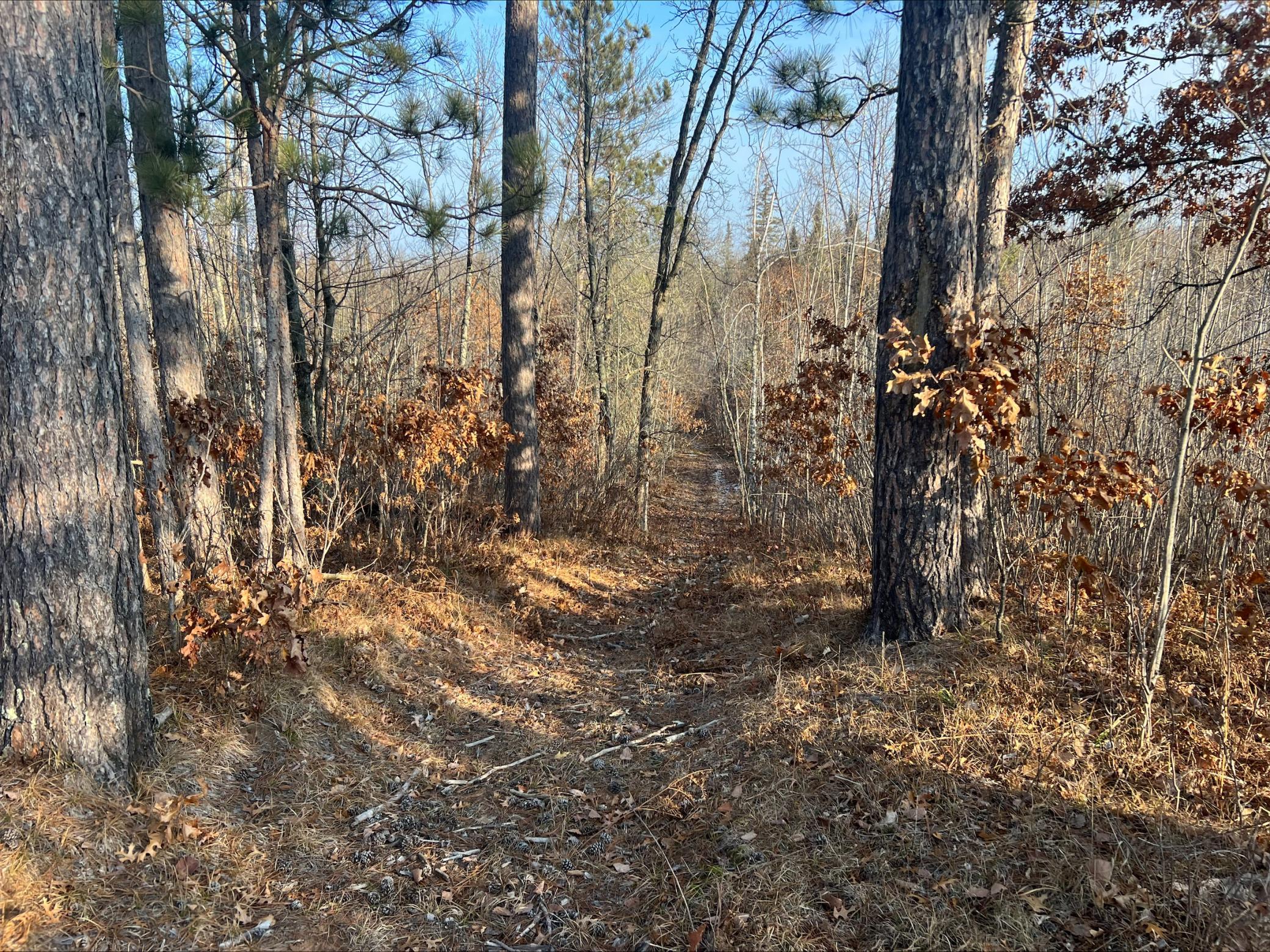 Lot 1 Brancel Road Minong, WI 54859 - Photo 10 of 12 Gallery Image 10